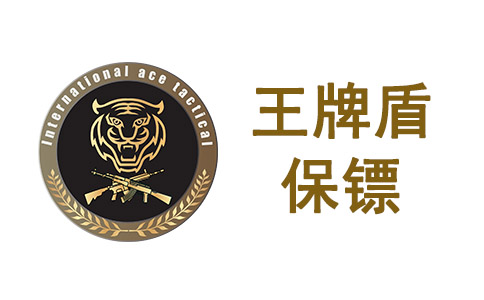 总统的贴身保镖是什么样的？