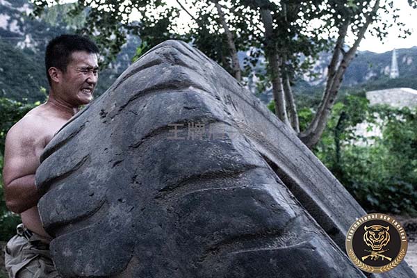 为何北京王牌盾保镖公司成为行业中的领袖企业?