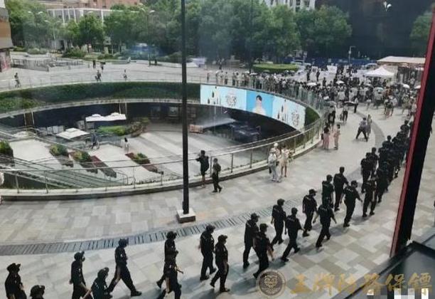 出国时携带保镖有什么用？