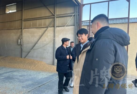 雇佣专业保镖需要多少钱？